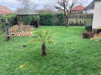 Vente maison SULLY SUR LOIRE - photo