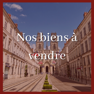 biens à vendre à orléans